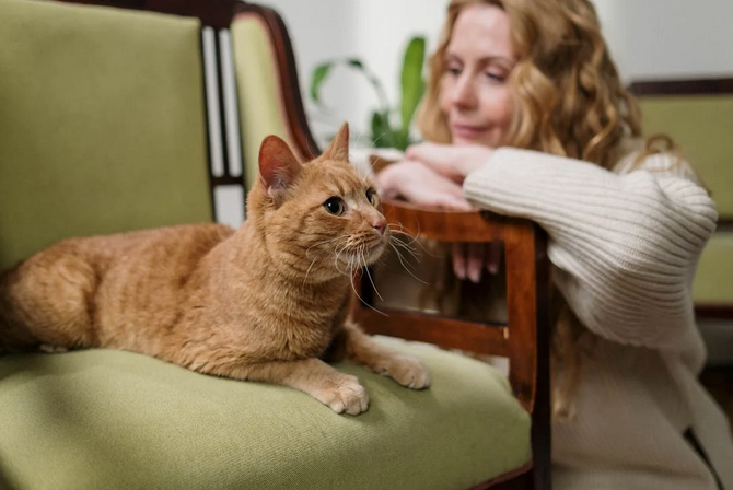 cat owner